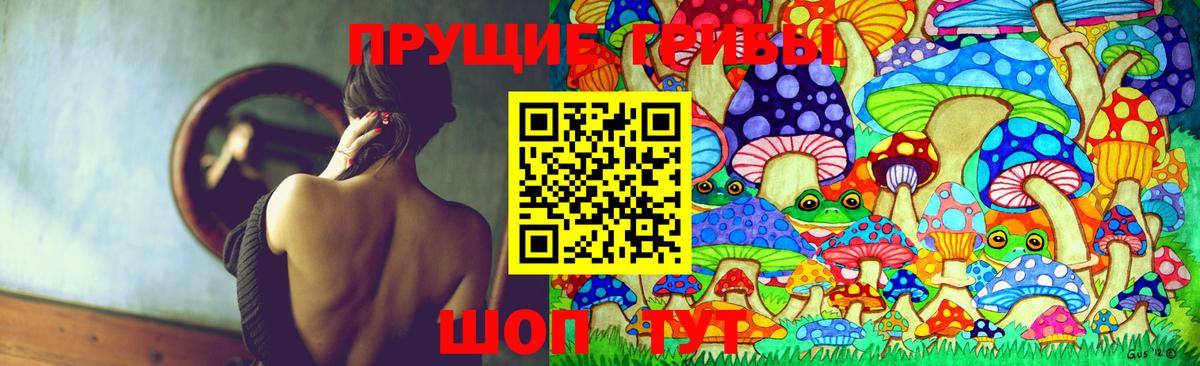 Красноперекопск  как найти закладки  Галлюциногенные грибы GOLDEN TEACHER  Вход с VPN  Галлюциногенные грибы MAGIC MUSHROOMS 
